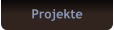 Projekte